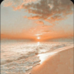 Meet your Posher, Greenlee